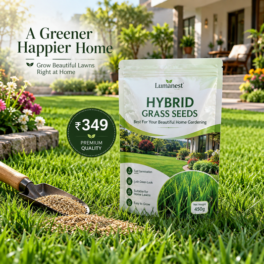 Lumanest™ Hybrid Grass Seeds – Grow a Lush Green Lawn at Home